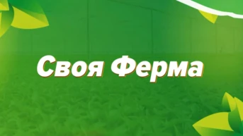 Своя ферма