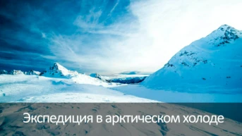 Экспедиция в арктическом холоде
