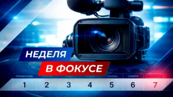 Неделя в фокусе