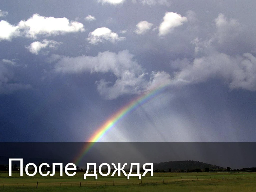 Передача После дождя