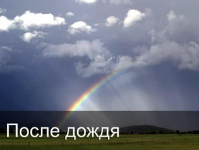После дождя