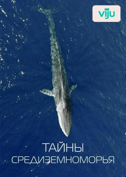 Тайны Средиземноморья