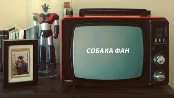 Собака фан