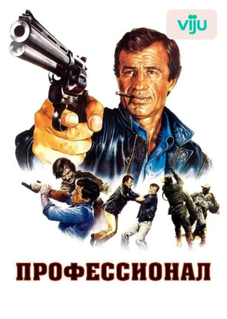Профессионал