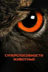 Суперспособности животных