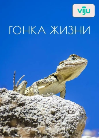 1 серия