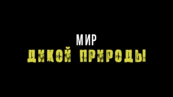 Мир дикой природы