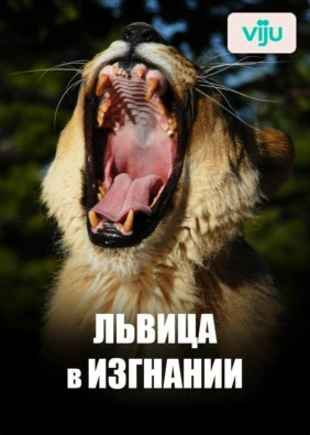 Львица в изгнании
