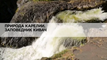 Природа Карелии. Заповедник Кивач