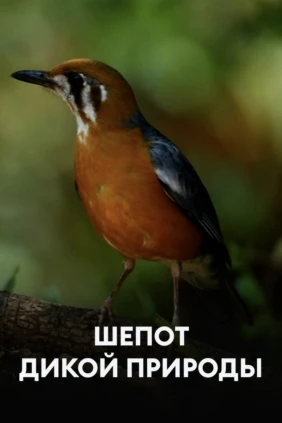 Шепот дикой природы