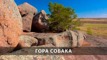 Гора Собака