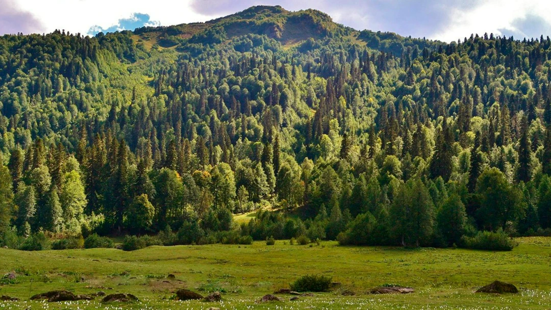 Передача Ауадхарская поляна