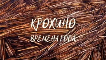 Крохино. Времена года