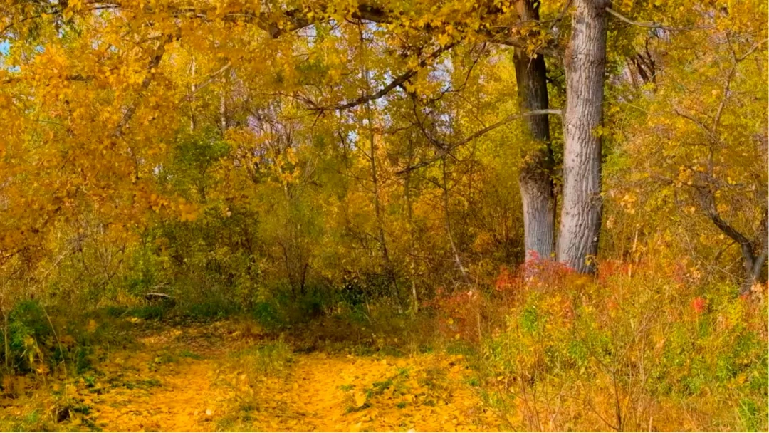 Передача Бабье Лето