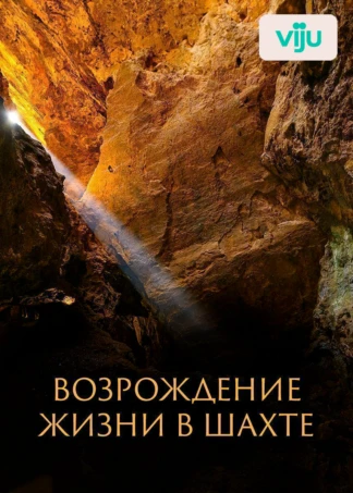 Возрождение жизни в шахте