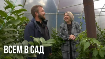 Всем в сад