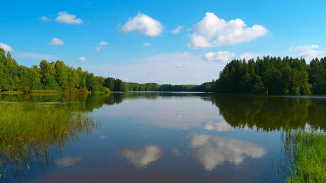Передача Юшкеловское озеро