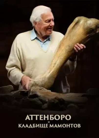 Аттенборо и кладбище мамонтов