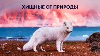 Хищные от природы