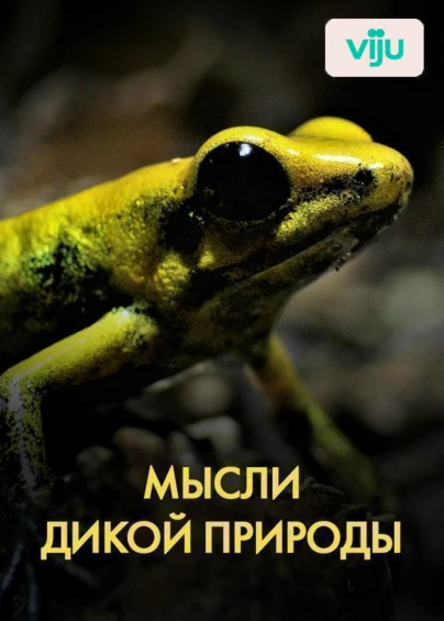 Мысли дикой природы