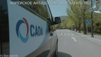 Черная птица на моём плече