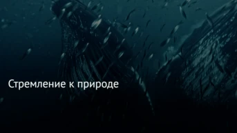 Стремление к природе