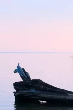 Новосибирское водохранилище