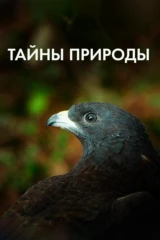 Тайны природы
