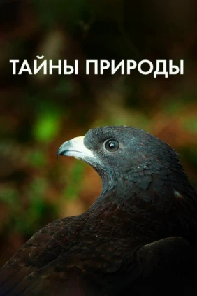 Тайны природы