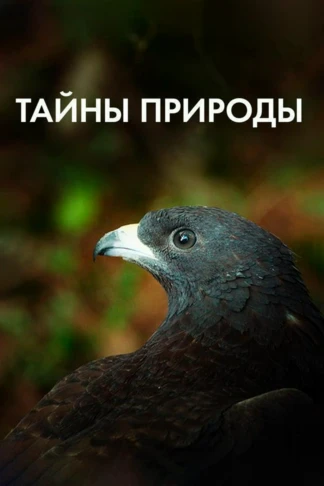 Тайны природы