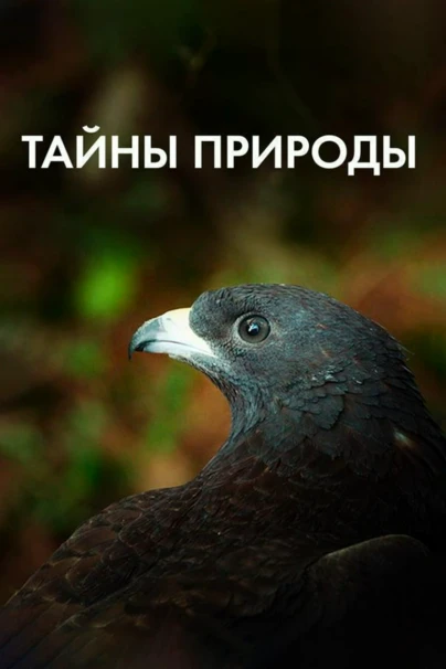 Тайны природы