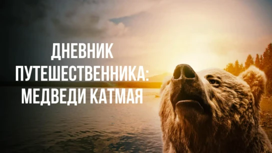 Дневник путешественника: Медведи Катмая