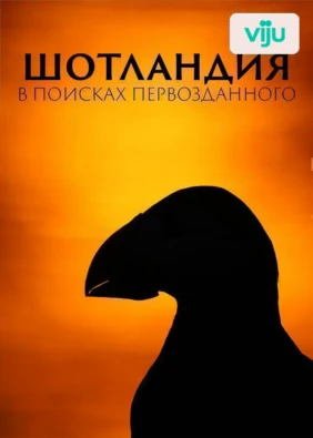 Шотландия: В поисках первозданного