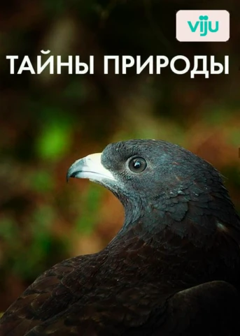 1 серия