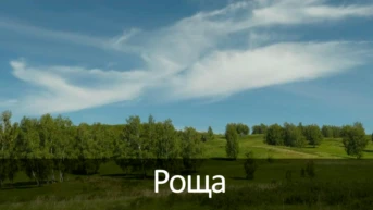 Роща