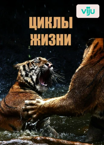 Серия 1