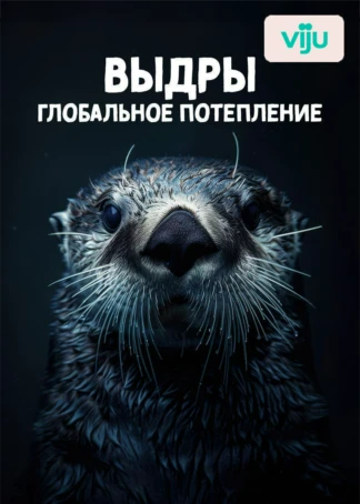 Выдры, глобальное потепление