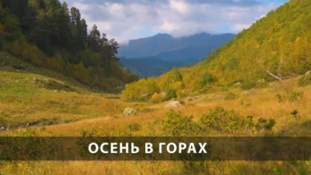 Осень в горах