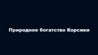 Природное богатство Корсики