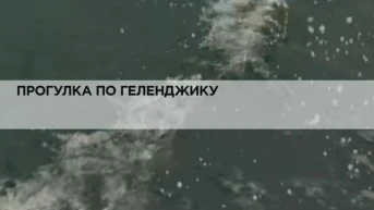 Прогулка по Геленджику