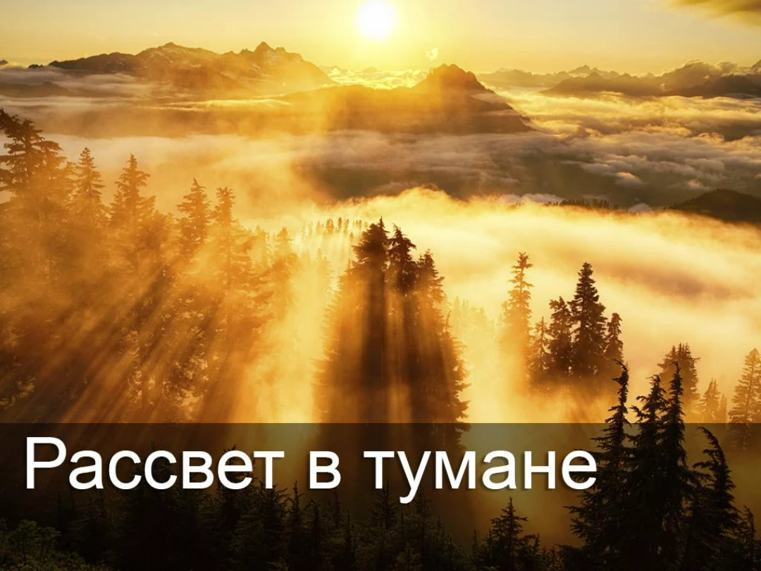 Передача Рассвет в тумане