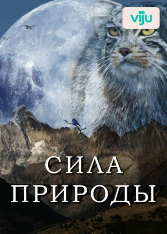 Между небом и землей