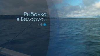 Рыбалка в Беларуси