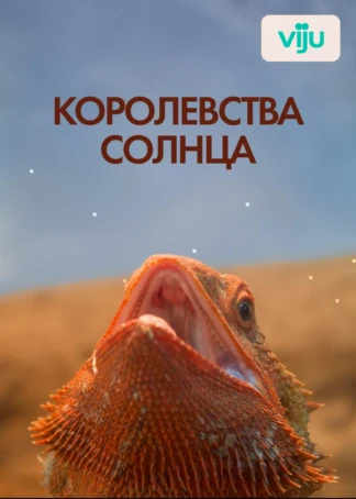 Королевства солнца