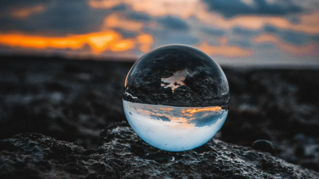 Передача 5 % биоразнообразия Земли
