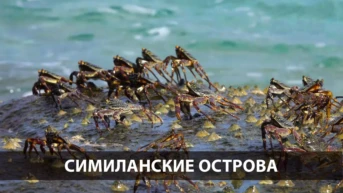 Симиланские острова