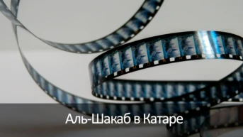 Аль-Шакаб в Катаре