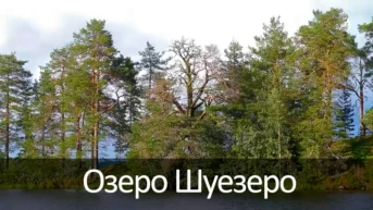 Озеро Шуезеро