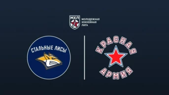 Хоккей. МХЛ. Стальные Лисы - Красная Армия