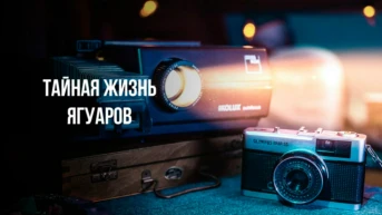 Тайная жизнь ягуаров